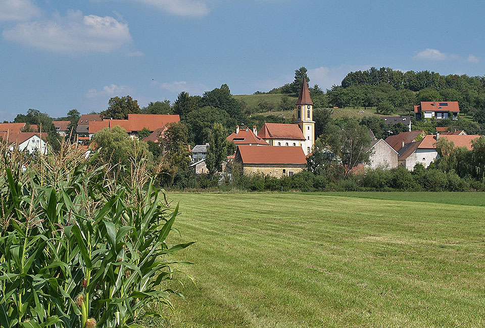 Blick auf Bubenheim