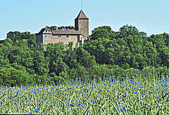 Schloss Hornberg